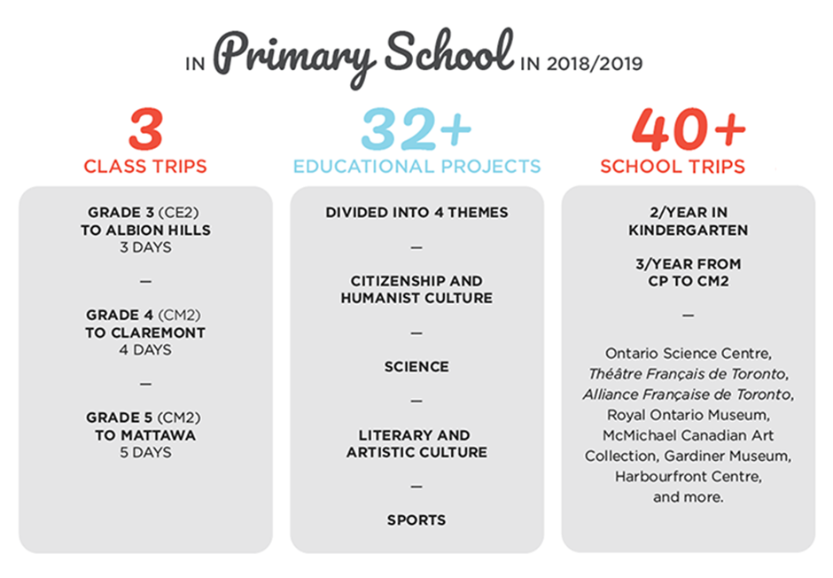 Primary School in 2018/2019. Projects and trips.